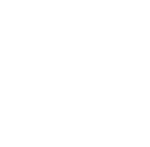 Superior Web Host Network